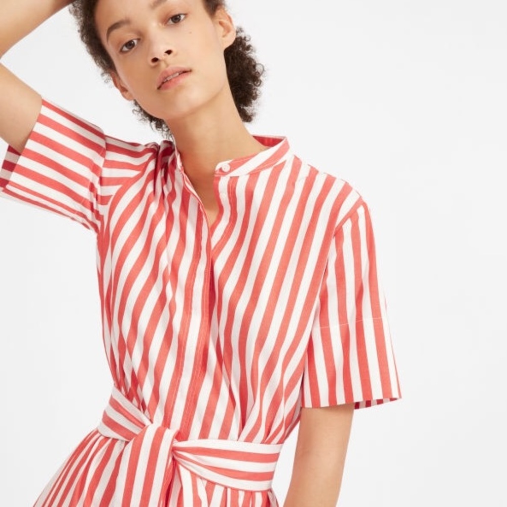 Everlane Cotton Shirtdress